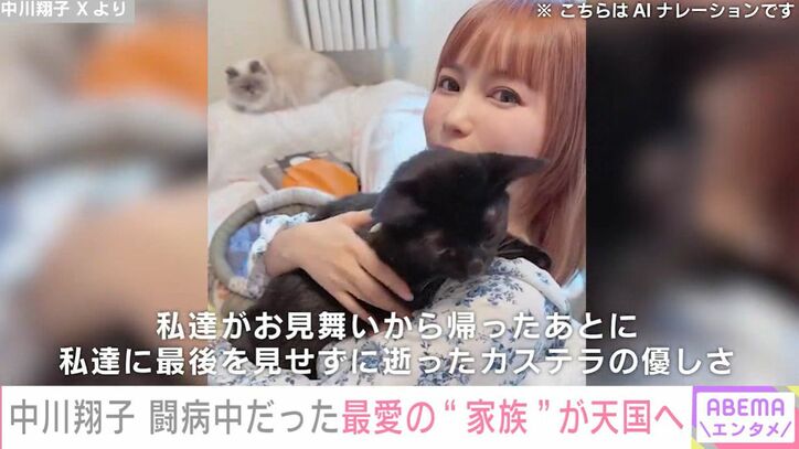 中川翔子 Xより