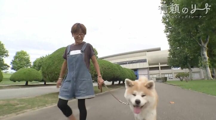ドッグトレーナーの鈴木明子さんと秋田犬の大河