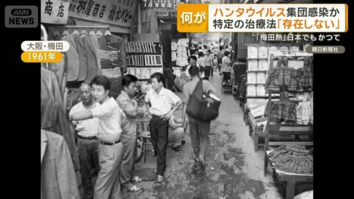 「梅田熱」と呼ばれたハンタウイルス