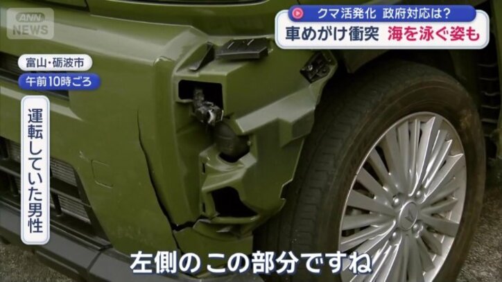 クマがぶつかった左前方部分