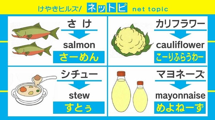 たまねぎ Onion は あにゃあん ダイソーの子ども向け図鑑が ガチすぎる と話題に 国内 Abema Times