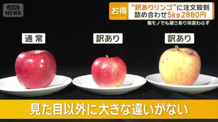 見た目以外に大きな違いがない