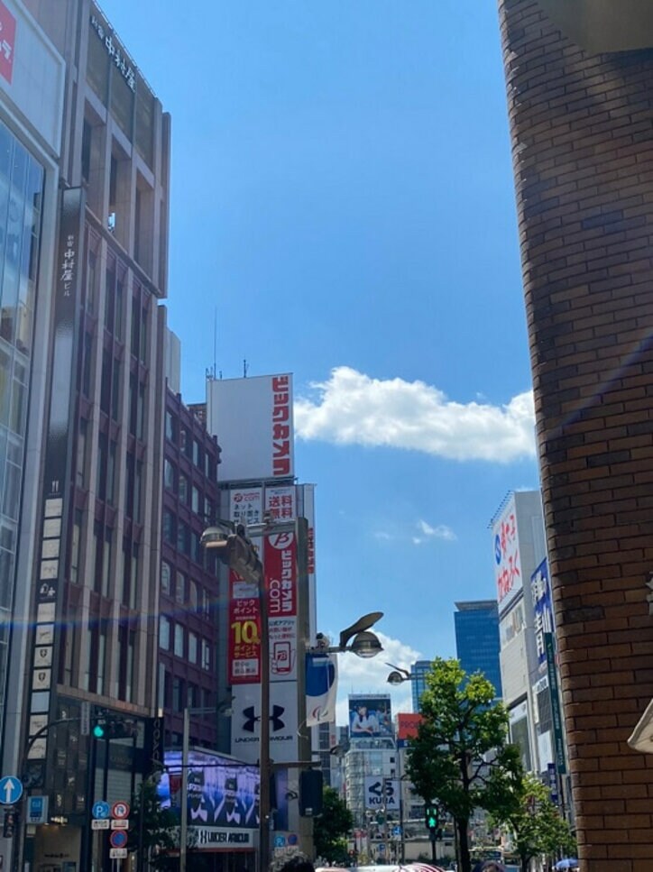 笠井アナ、暑い日に思い出す入院後のこと「あの頃は日向を探して散歩してました」