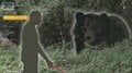 人身被害は10月が最多 冬眠前に活発化しクマ出没増 都内で初の「緊急銃猟」訓練