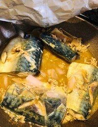 キンタロー。『ようやく晩御飯作ったよ！と驚愕の若返りアプリ。』