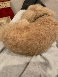 小倉優子『⭐︎今日も辛かった~⭐︎』