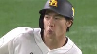 【映像】SB柳田「意味不明HR」映像集