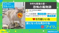 ねこちゃんが持ち込もうとしたのは...
