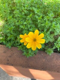 市川海老蔵『今日は!』