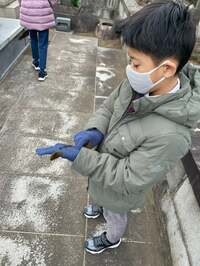 市川團十郎白猿『お掃除にきましたが』