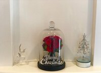 薬丸裕英『X'mas party準備』