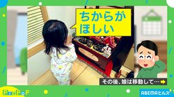 片付けようとする父に“待った”！？ 4歳娘がひな人形に「ちからがほしい」「地面が壊せるくらい」とお願い→美しいフォームの腕立てが「かっこいいっ」「人生2周目感ある…」と話題