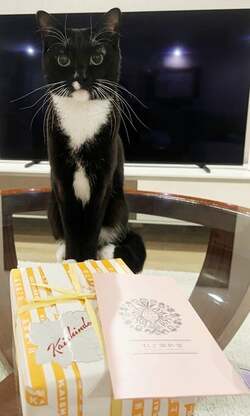  藤あや子、1年予約待ちの高級品を紹介「手作りにこだわっているそうです」 