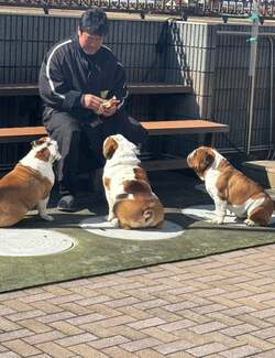  北斗晶、今も考えてしまう亡き愛犬のこと「シャンプー好きだった花ちゃんが居たら…」 