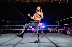 危険すぎる！ ブチ切れレスラーが鉄階段に頭を“踏みつけ”大暴れ…やりすぎ大乱闘にファンも審判も「ドン引き」一部始終