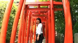 一日で10社巡れる？東京の神社巡礼旅　意外と知らない神社の魅力満載
