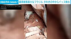 土砂崩れの“がれき”に埋まった犬→消防隊員による救出の瞬間 現地では甚大な被害が ブラジル