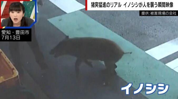 提供：被害現場の会社