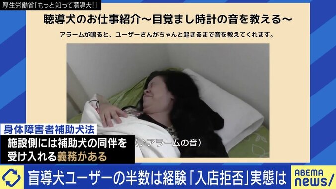 盲導犬ユーザーが経験する“入店拒否”