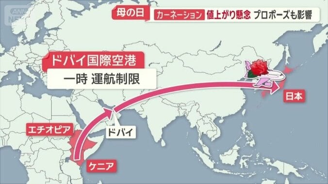 輸入バラは7割がケニアやエチオピアのアフリカ産