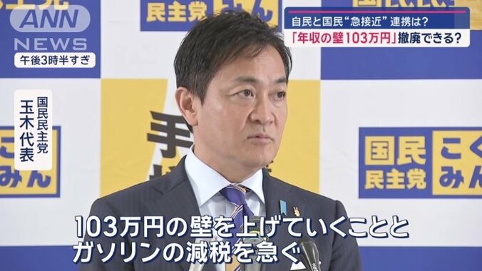 国民民主党　玉木雄一郎代表