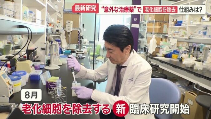 臨床研究を開始