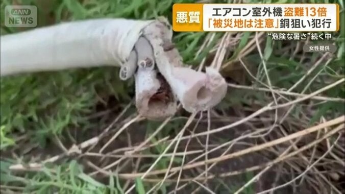切られていたホース
