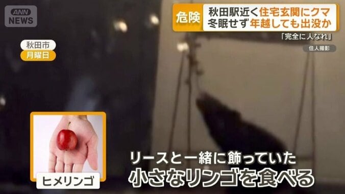 小さなリンゴを食べていた