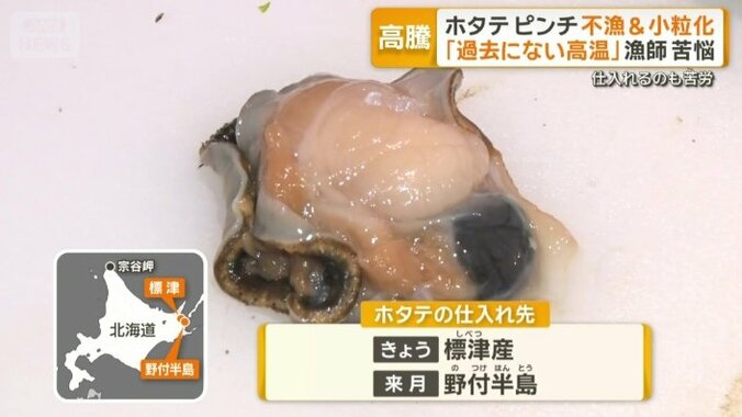 少しでも大きなホタテ仕入れへ