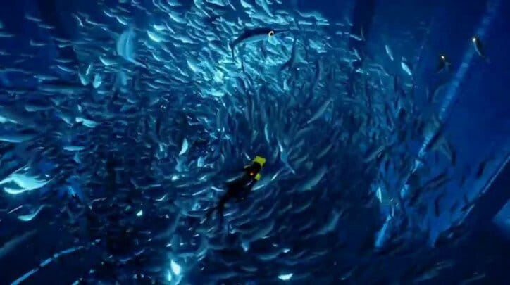 まるで海洋ドキュメンタリー映画のように美しいゲーム『ABZU』で神秘的な海を探索