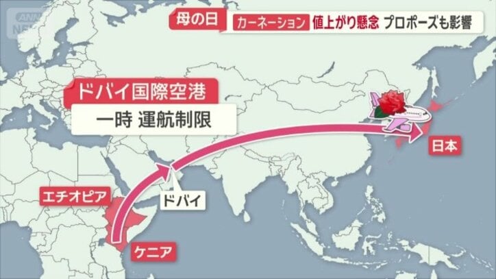 輸入バラは7割がケニアやエチオピアのアフリカ産