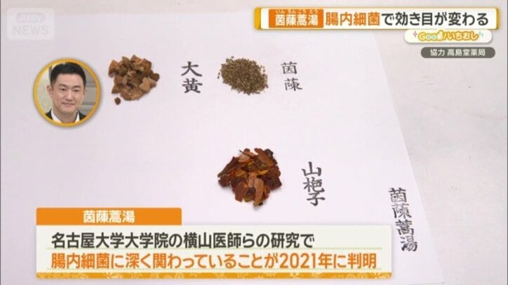 腸内細菌に深く関わっている茵ちん蒿湯
