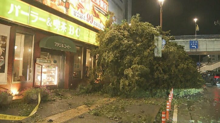 台風15号“西へ横断”茨城に上陸は“統計史上初”各地で倒木…1万軒超で停電