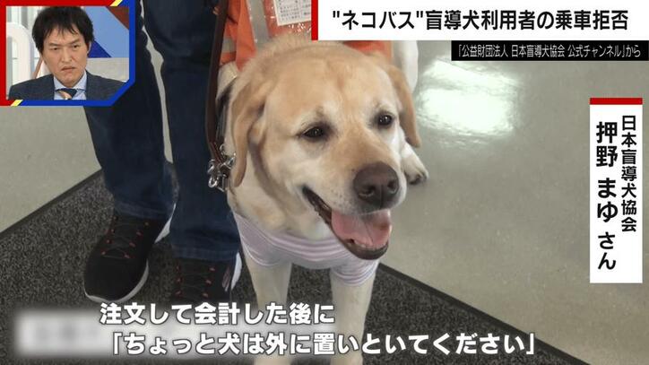 【写真・画像】盲導犬に「声かけ」「触る」「目をじっと見る」はNG… 利用者「犬の気を引くようなことはしないで」と訴え　1枚目