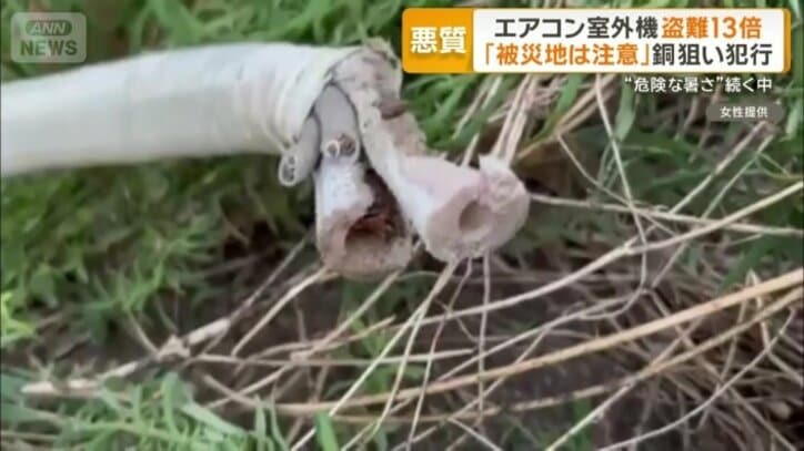 切られていたホース
