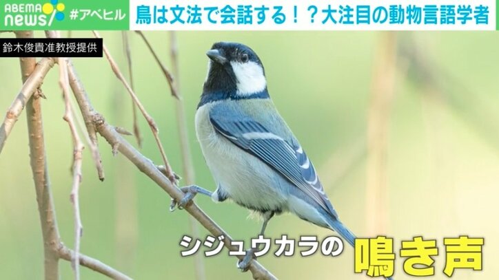 【写真・画像】 2枚目