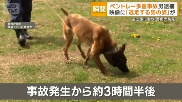 警察犬による捜索