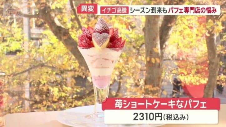 苺ショートケーキなパフェ