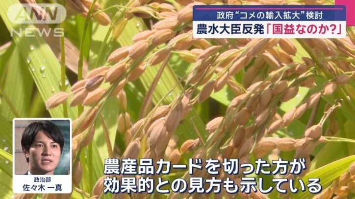 政治部 佐々木一真記者