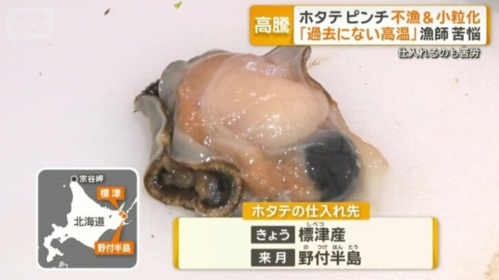 少しでも大きなホタテ仕入れへ