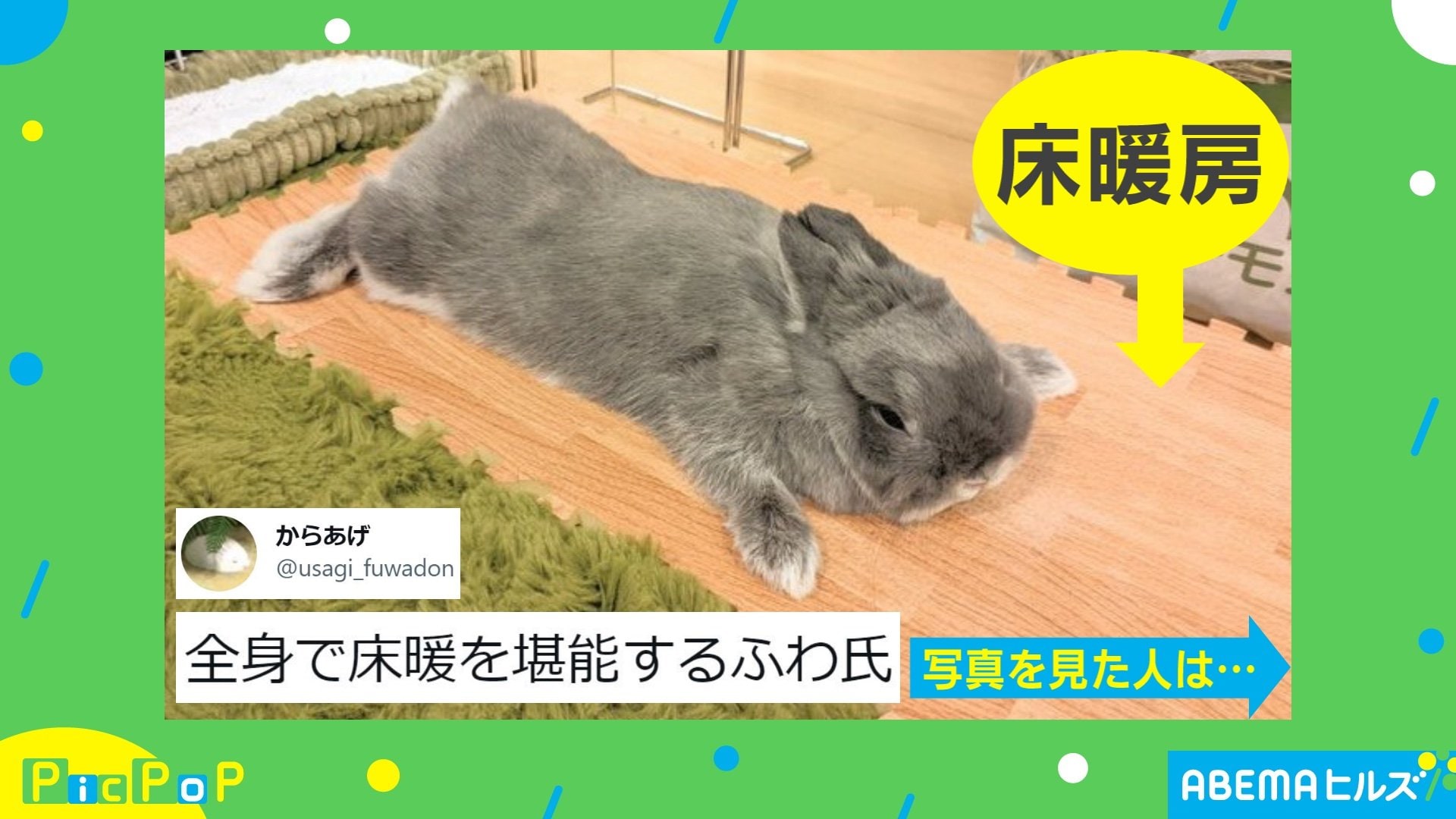 床にべったり寝そべるうさぎ 全身で床暖房を 堪能するポーズ に 気持ち良さそう 癒される 悶絶の声 話題 Abema Times