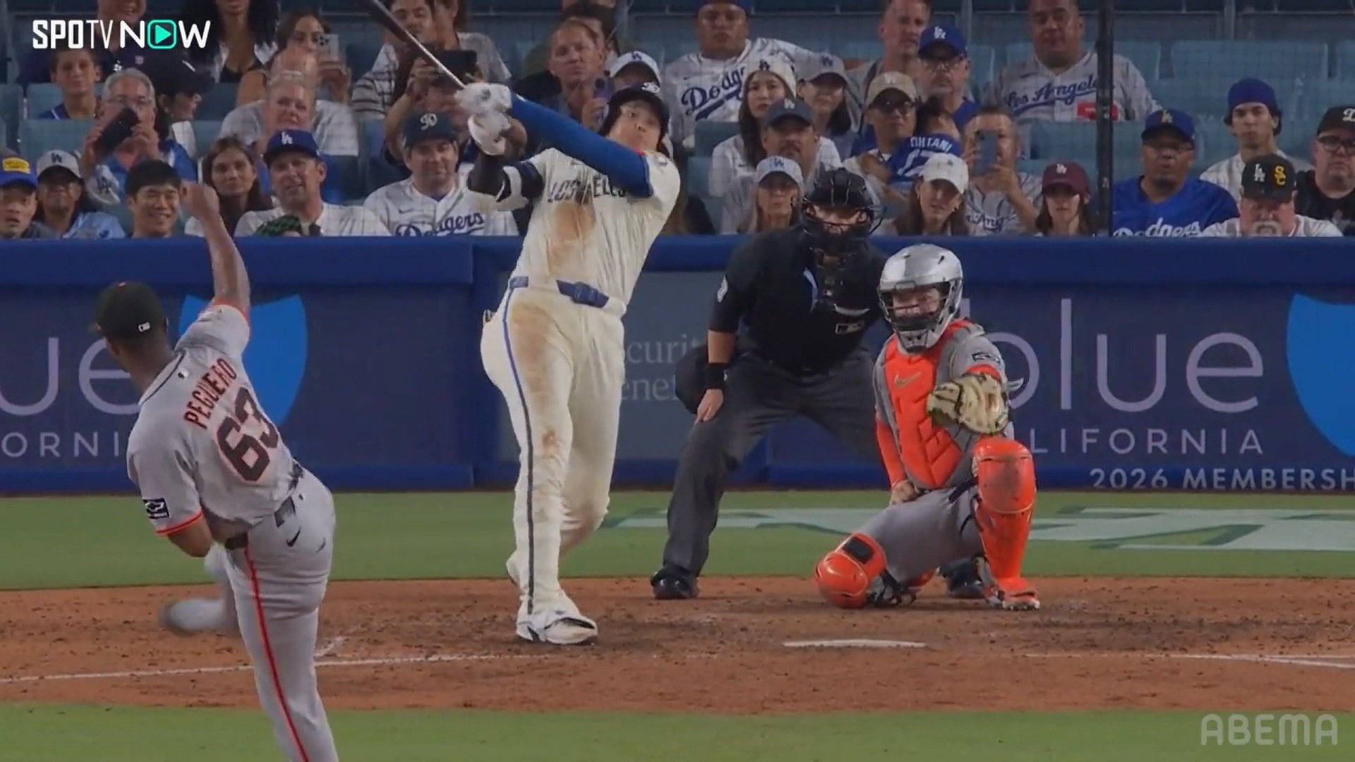 【写真・画像】　1枚目