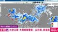 レベル4土砂災害・大雨危険警報 山形県, 新潟県