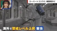 【映像】“赤黒いフン”に注意？トコジラミの見つけ方