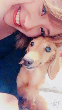 岡井千聖、12年間ともに過ごした愛犬の死を報告「ずっとずっと大好きだからね」