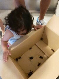 加護亜依『カゴ３つデス。』