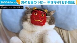 鬼のお面を被った猫の意外な顔!?  思わず拝みたくなる"おたふく顔"が話題 「福は内側に」「取ったらもっとかわいいね」