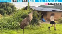 エミューと女性との幸せな“2人”暮らし　一緒に踊って、一緒に寝て… 親子のような暮らしぶりに大反響「優しい世界」