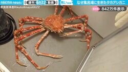 お風呂場に生きたカニ…なぜ？“異様な光景”が、SNSで840万件表示！「一気に水族館！」「新鮮さが完全に証明されたw」