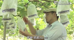 世界に名を馳せる“ぶどうの町”にするために…農家になる運命を背負った男性が、人生をかけて挑む“地域再生”